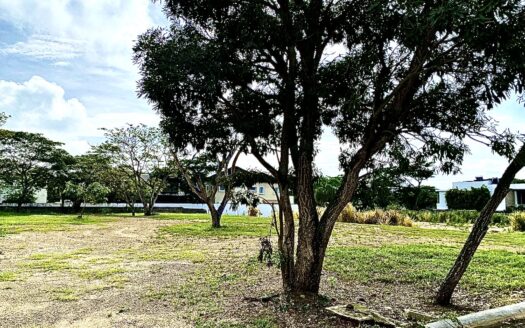 Los Samanes, solares en venta