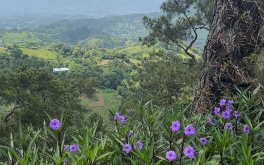 Jarabacoa | Tenemos el solar ideal para que construyas tu sueño